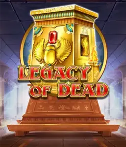 Погрузитесь в древние глубины Legacy of Dead от Play'n GO, демонстрирующего потрясающие визуальные эффекты древнеегипетских божеств, гробниц и иероглифов. Раскройте сокровища фараонов с увлекательными функциями, включая расширяющиеся символы, бесплатные вращения и возможность игры на риск. Идеально для тех, кто в поисках приключений, интересующихся египетской мифологией в поисках волнения сквозь пески времени.